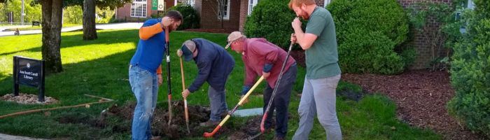 Landscape Design & Installation